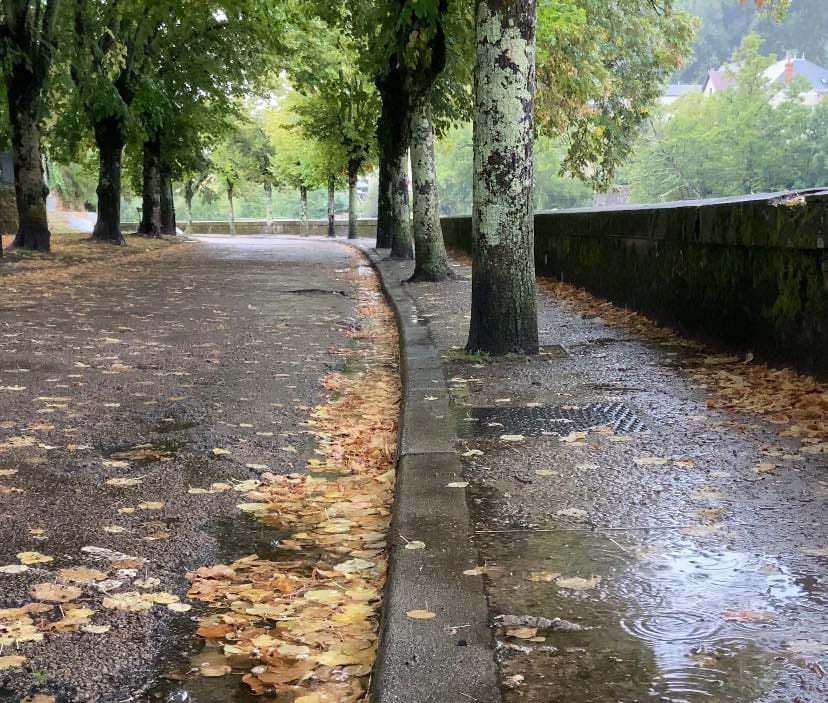 MÉTÉO 1ER AU 7 SEPTEMBRE 2025 : RENTRÉE AUTOMNALE ?