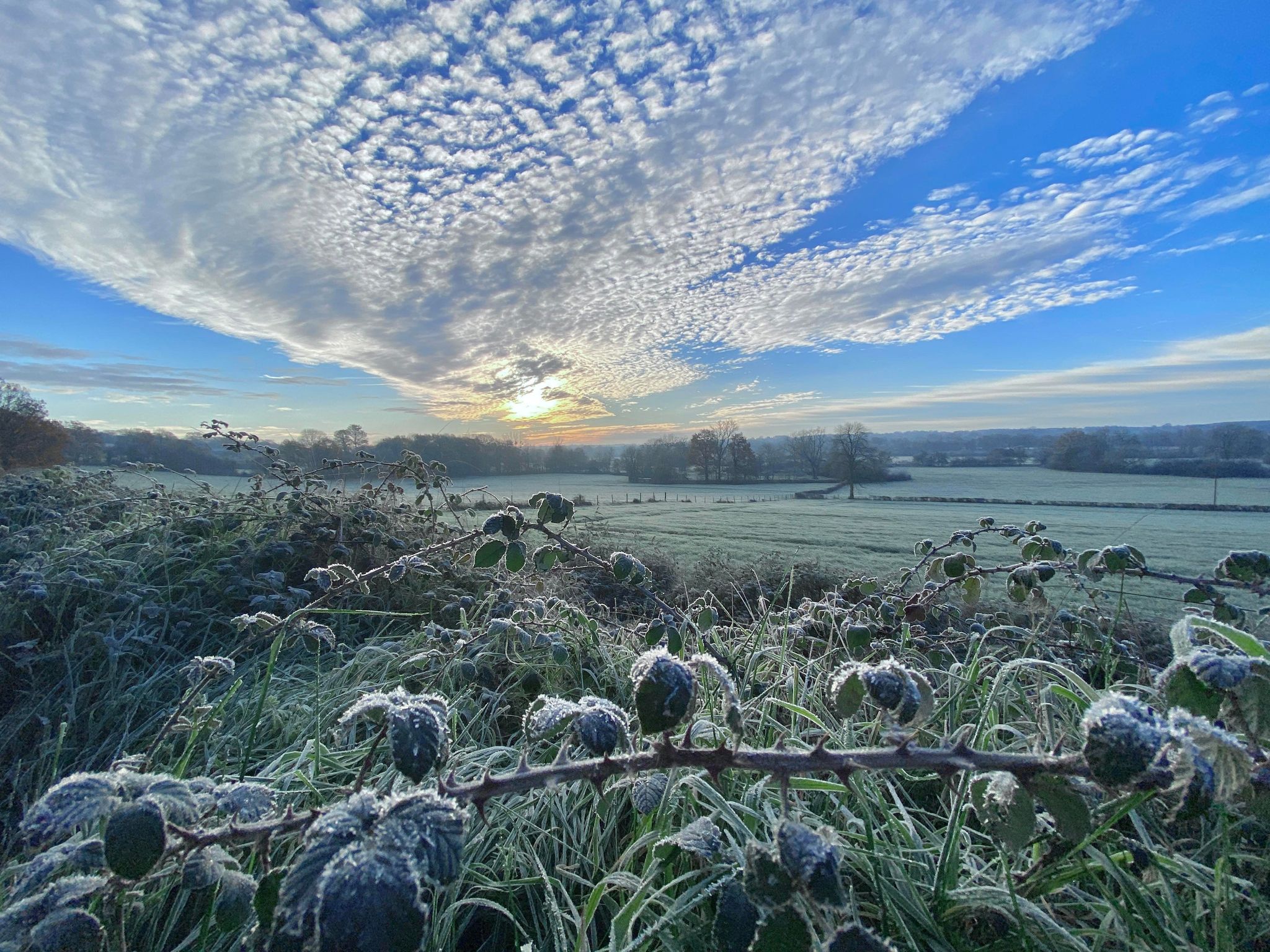 MÉTÉO CENTRE – VAL DE LOIRE DU WEEK-END DU 25 ET 26 NOVEMBRE 2023