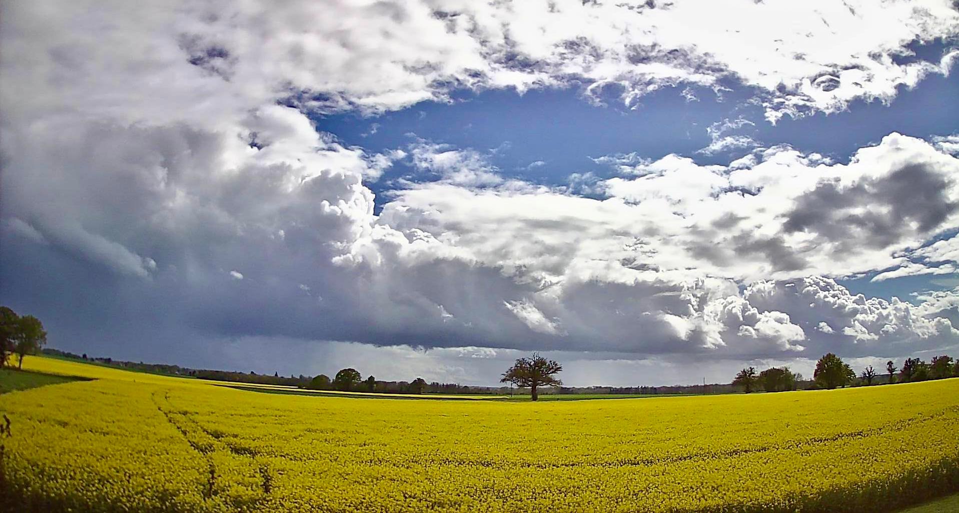 MÉTÉO CENTRE – VAL DE LOIRE DU 24 AU 30 AVRIL 2023