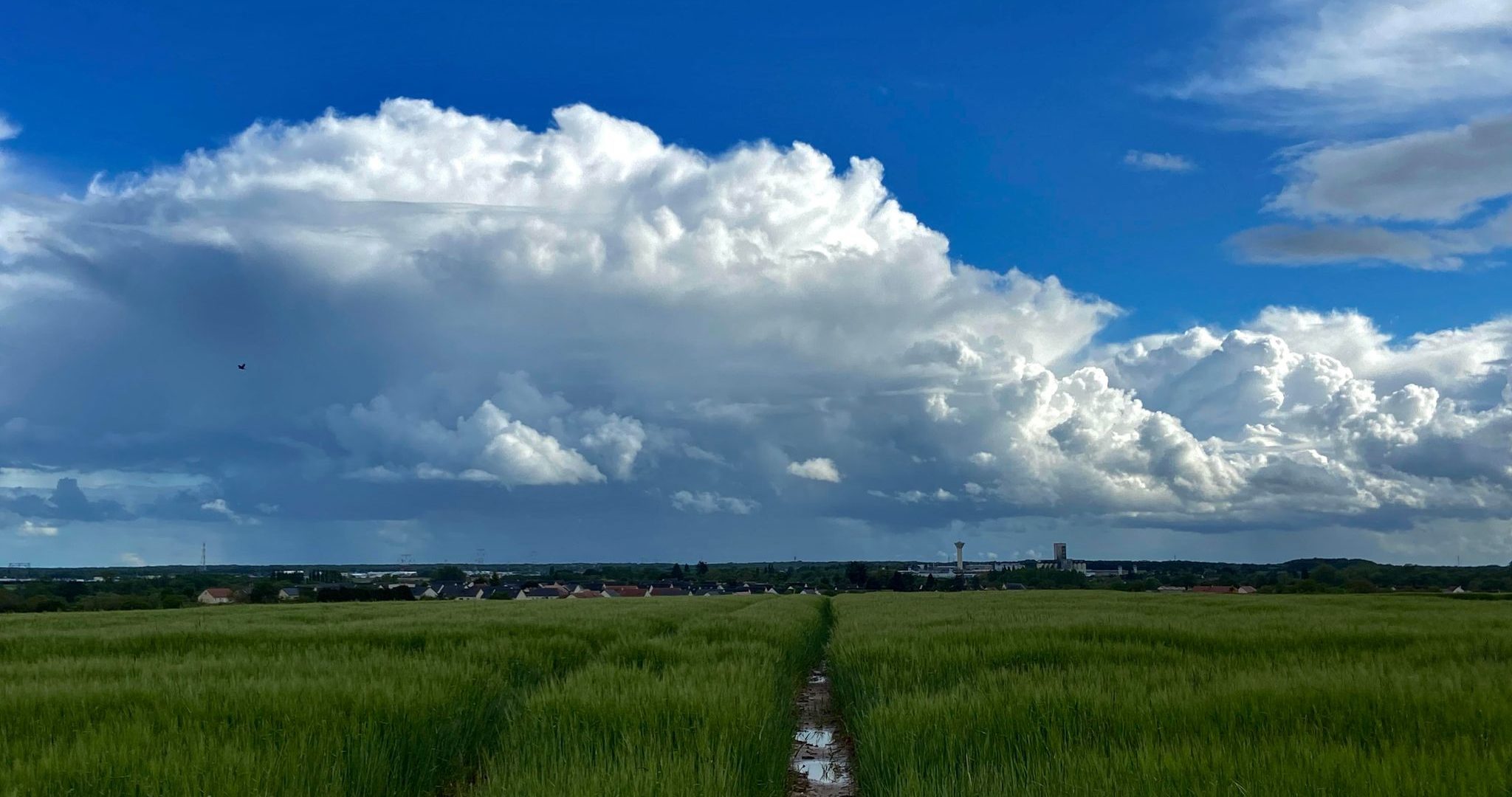 MÉTÉO CENTRE – VAL DE LOIRE DU 10 AU 16 JUIN 2024