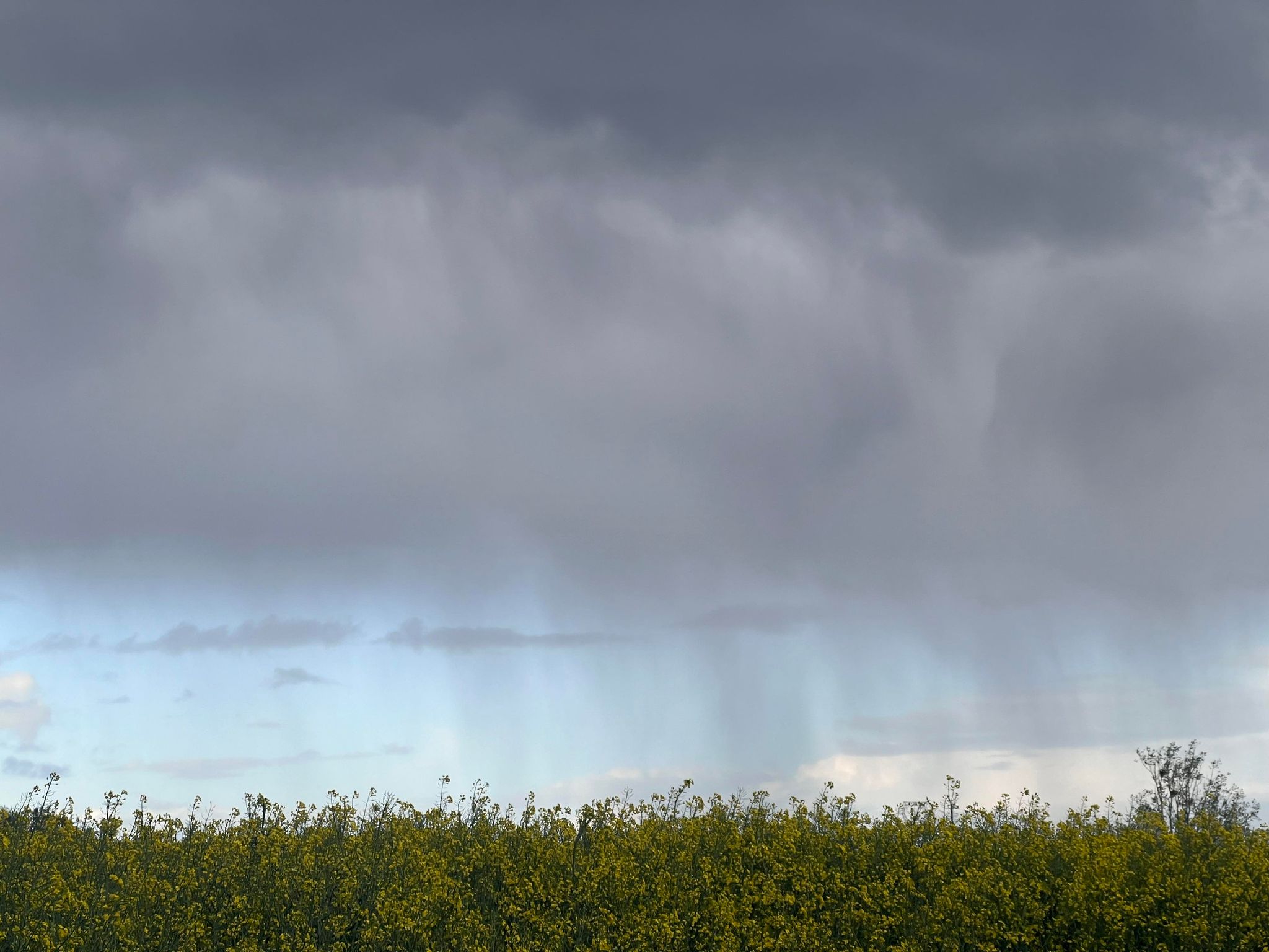 MÉTÉO CENTRE – VAL DE LOIRE DU 27 MAI AU 2 JUIN 2024