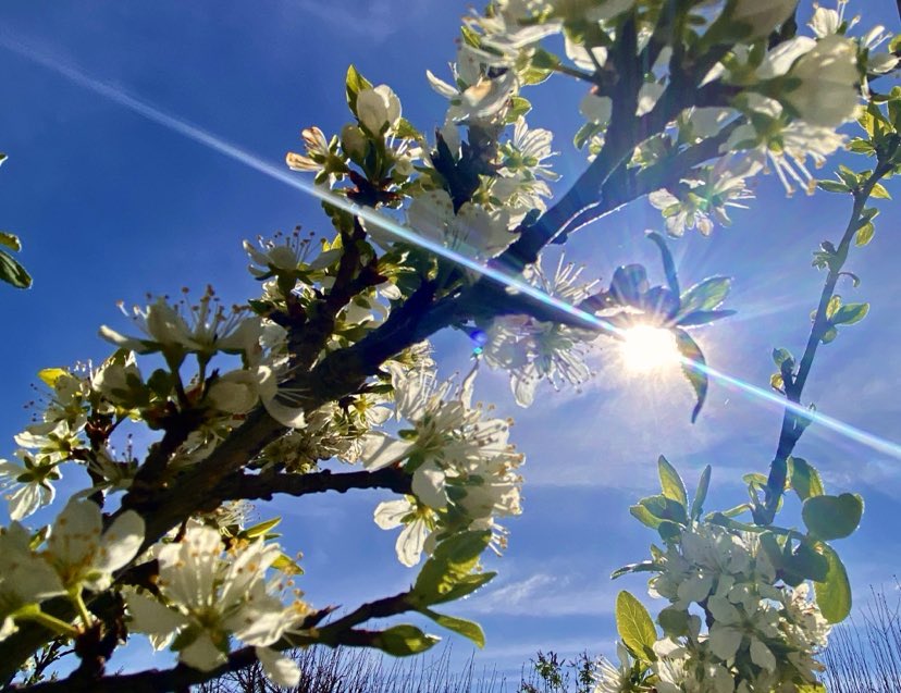 PIC DE DOUCEUR DU 3 AU 6 AVRIL 2025 : JUSQU&rsquo;À 23-24°C SUR LE CENTRE – VAL DE LOIRE !