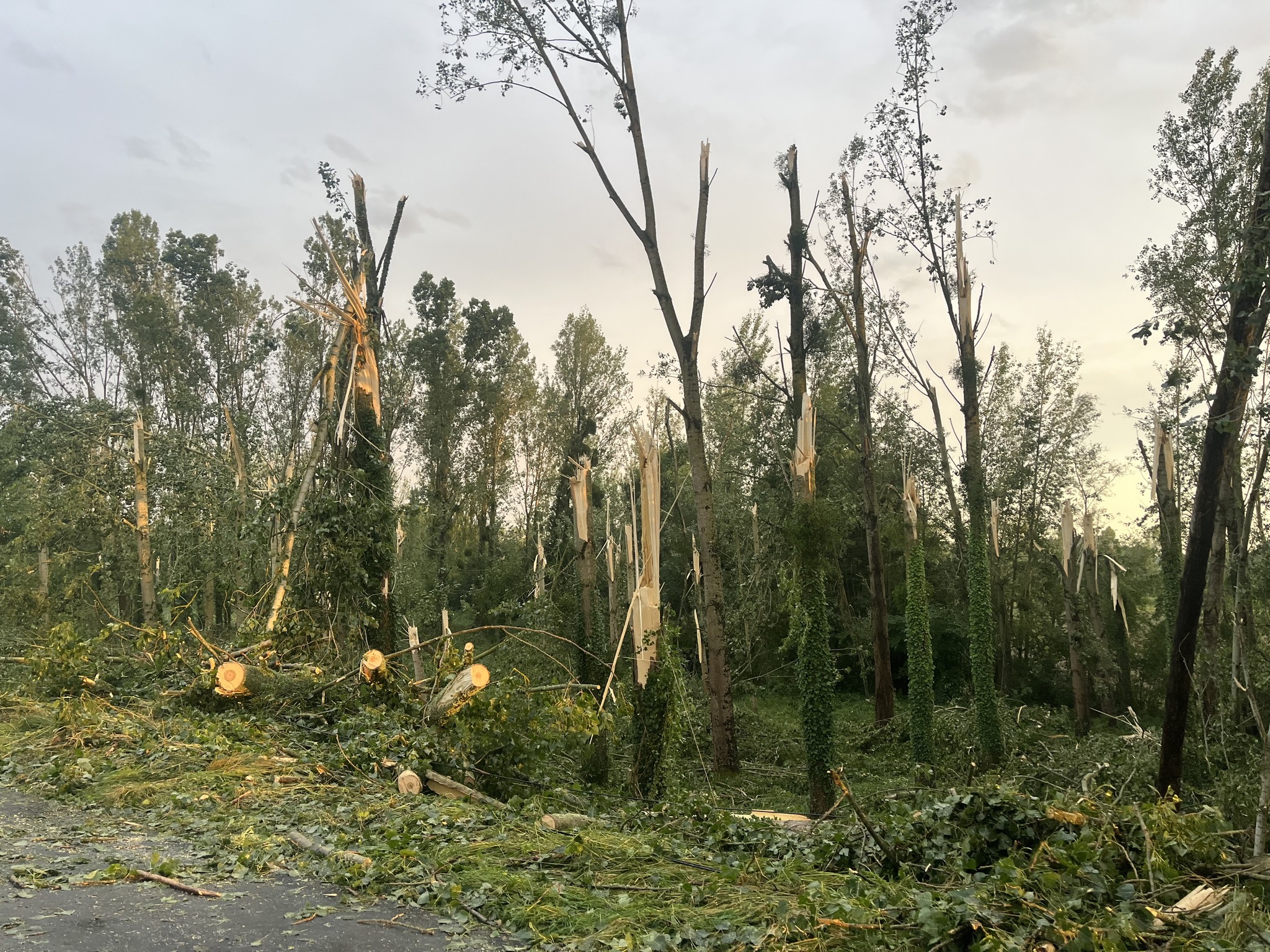 [BILAN] – SUIVI DES DEGATS DES ORAGES DU 25 ET 26 JUIN 2025 – REGION CENTRE – VAL DE LOIRE