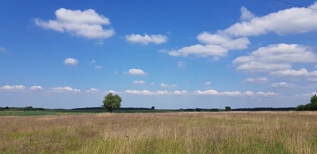 MÉTÉO CENTRE – VAL DE LOIRE DU 5 AU 11 AOÛT 2024