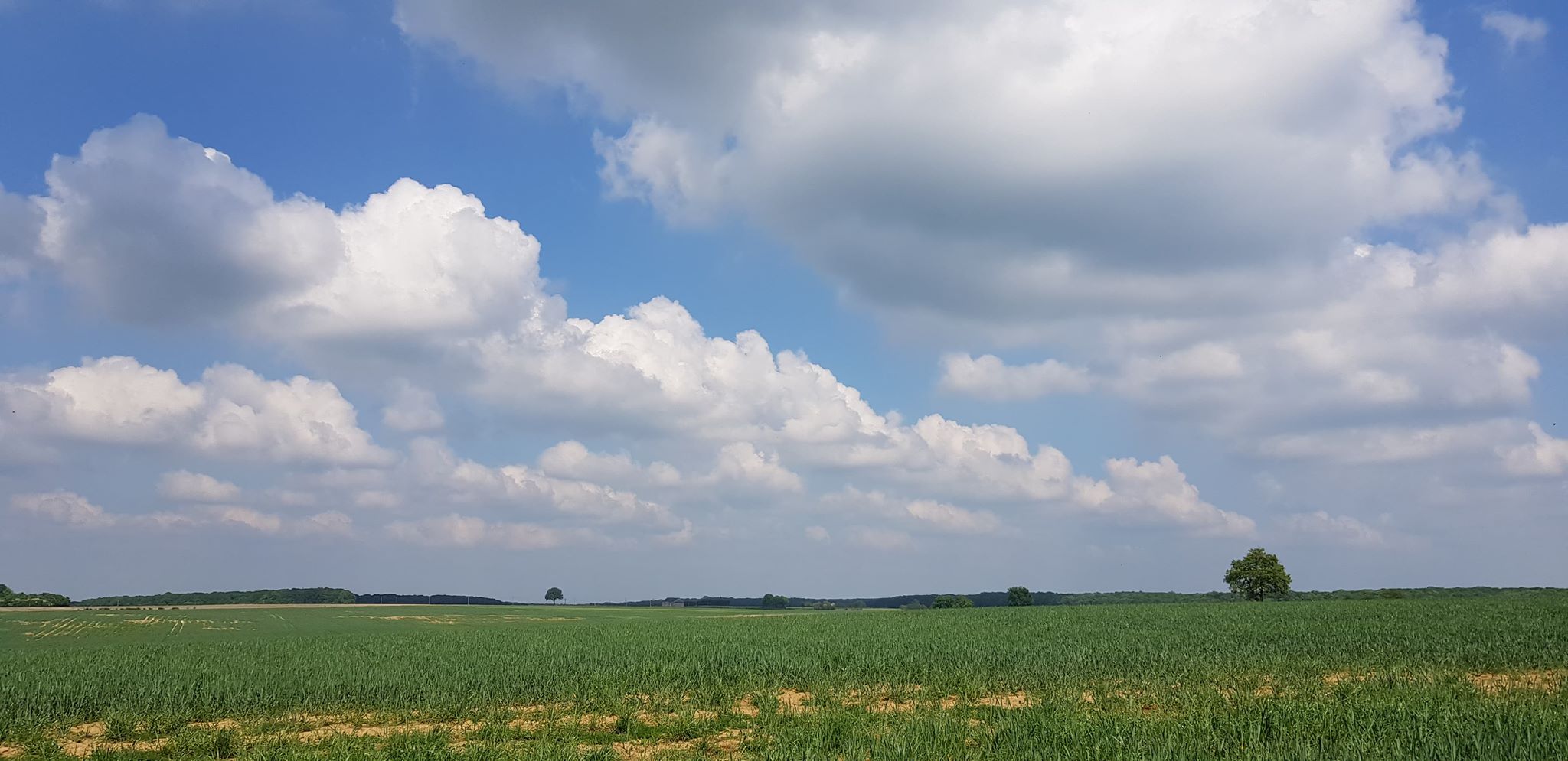 MÉTÉO CENTRE – VAL DE LOIRE DU 19 AU 25 AOÛT 2024