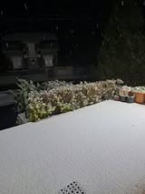 Neige à Audeville (45) par Dominique Leprince