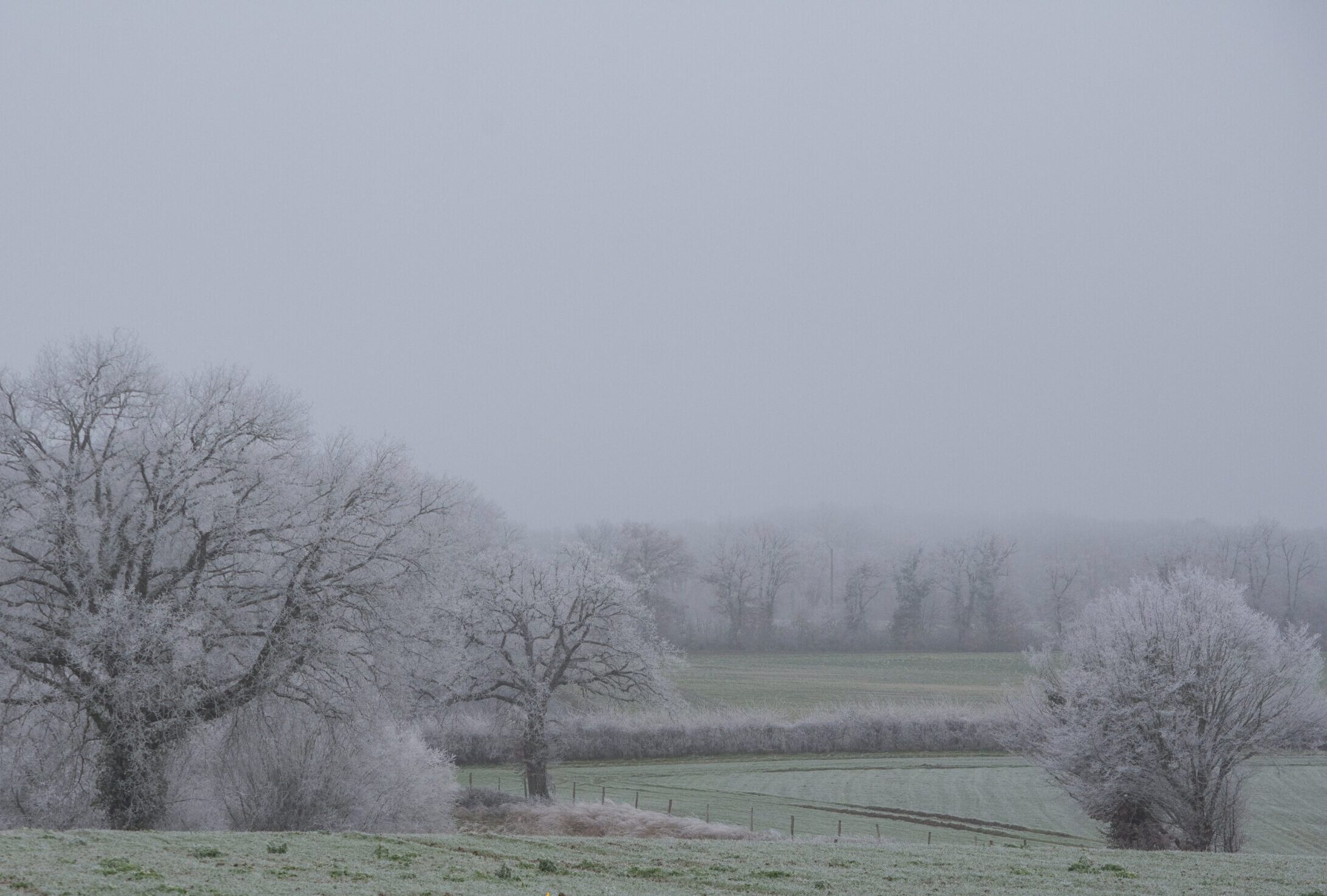 MÉTÉO CENTRE – VAL DE LOIRE DU 3 AU 9 FÉVRIER 2025