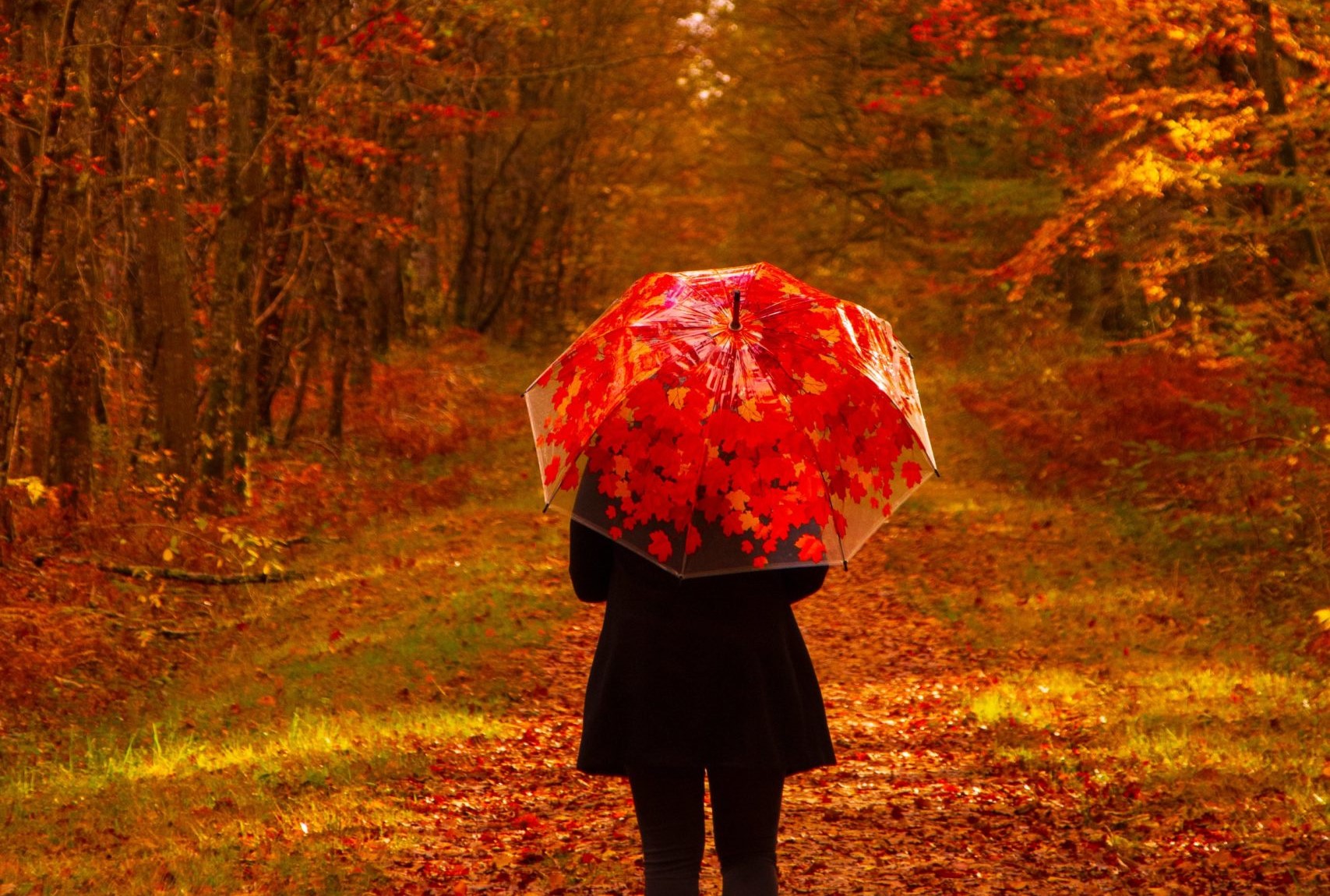 MÉTÉO 22 AU 28 SEPTEMBRE 2025 : FRAÎCHE ET AUTOMNALE ?