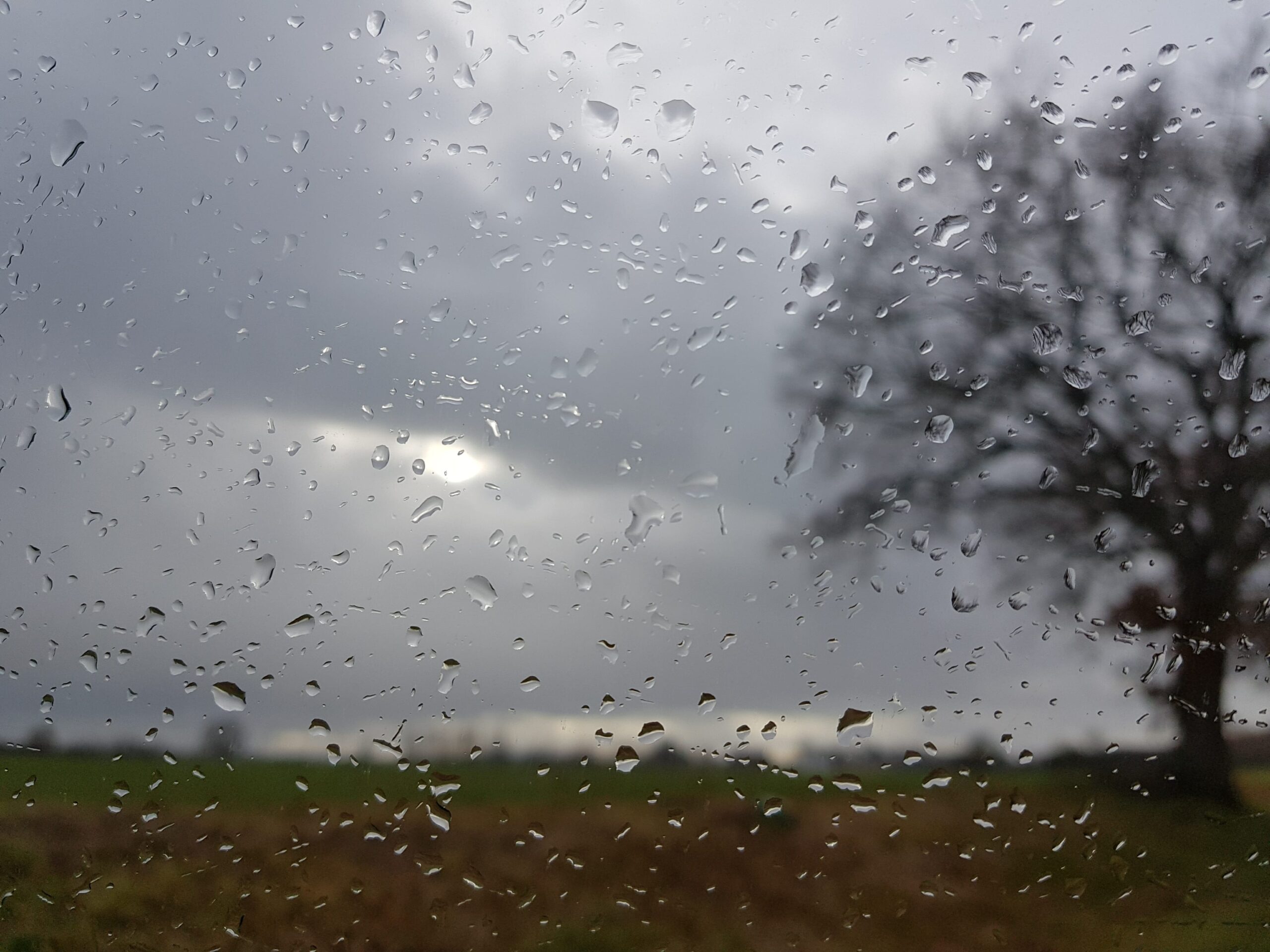 MÉTÉO CENTRE – VAL DE LOIRE DU WEEK-END DU 30 DÉCEMBRE 2023 AU 1ER JANVIER 2024