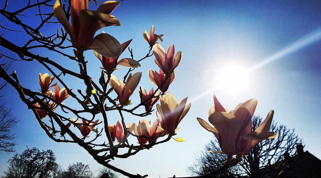 MÉTÉO CENTRE – VAL DE LOIRE DU 17 AU 23 FÉVRIER 2025
