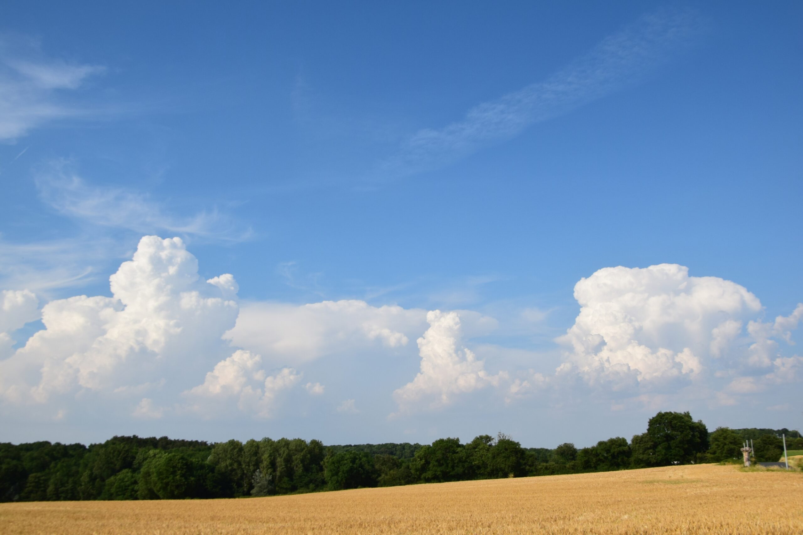 MÉTÉO CENTRE – VAL DE LOIRE DU 24 AU 30 JUIN 2024