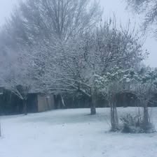 [BILAN DU 23 NOVEMBRE] – NEIGE TEMPORAIRE ET GELEES DANS LE CENTRE – VAL DE LOIRE