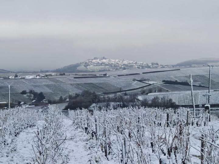 [BILAN DU 20 NOVEMBRE] – GELEES ET CHUTE DE NEIGE DANS LE CENTRE – VAL DE LOIRE