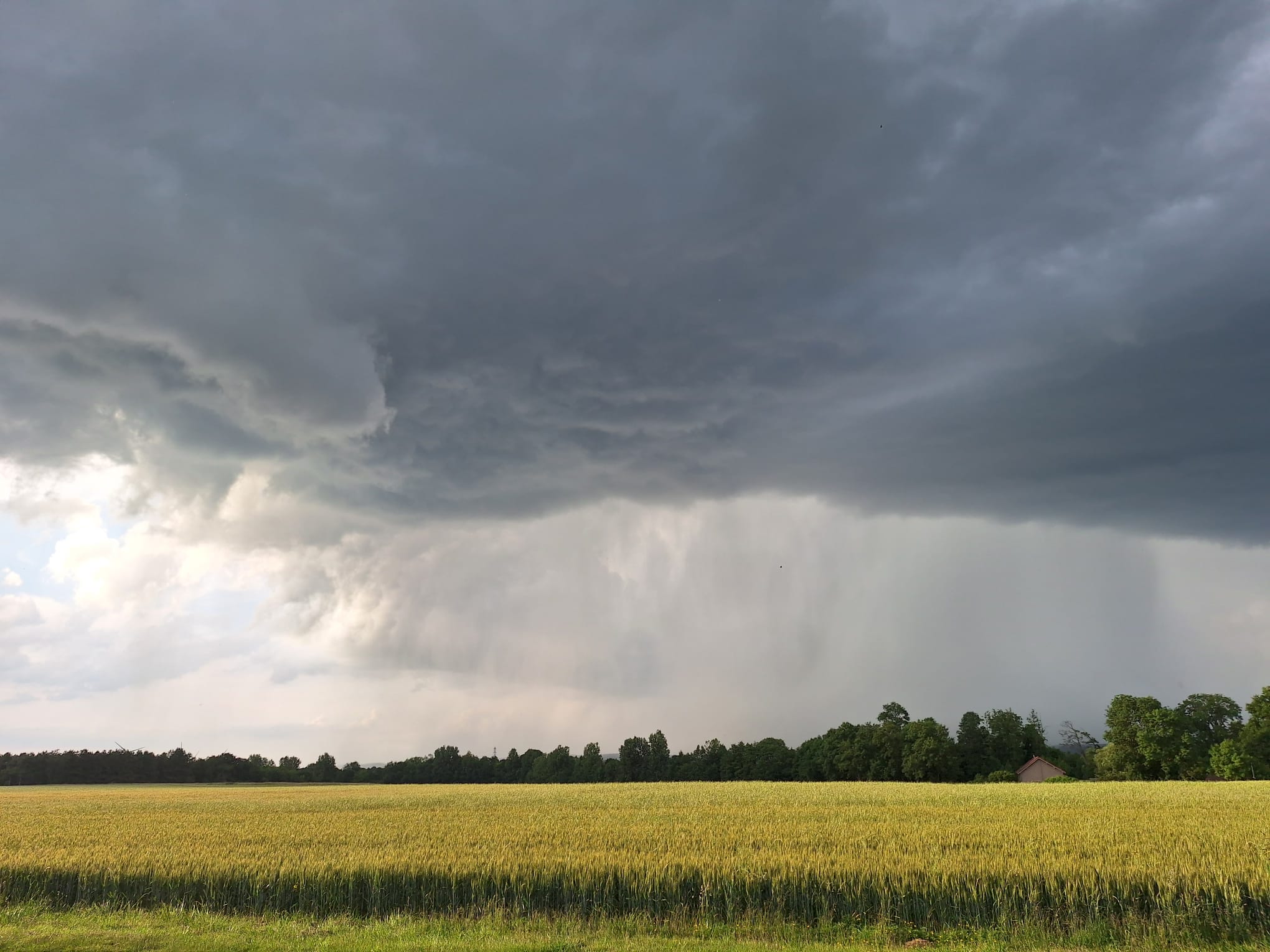 [BILAN] – Episode pluvio-orageux du 19 au 20 août 2025 – Région Centre – Val de Loire