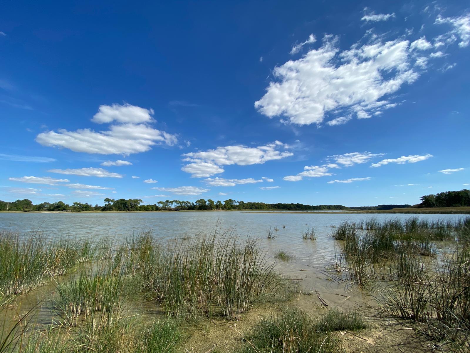 MÉTÉO WEEK-END 23 ET 24 AOÛT 2025 : SOLEIL ET AGRÉABLE ?
