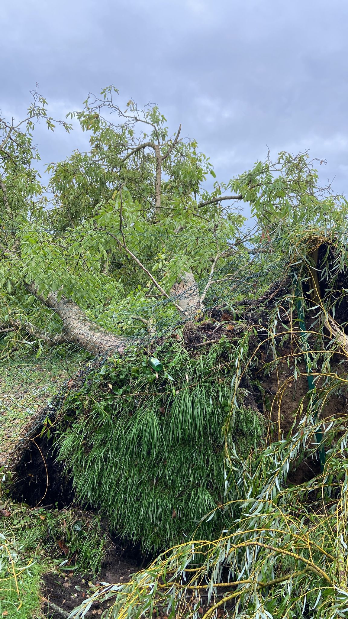 [Bilan] Orages du 20 et 21 septembre 2025 – Centre de Val de Loire