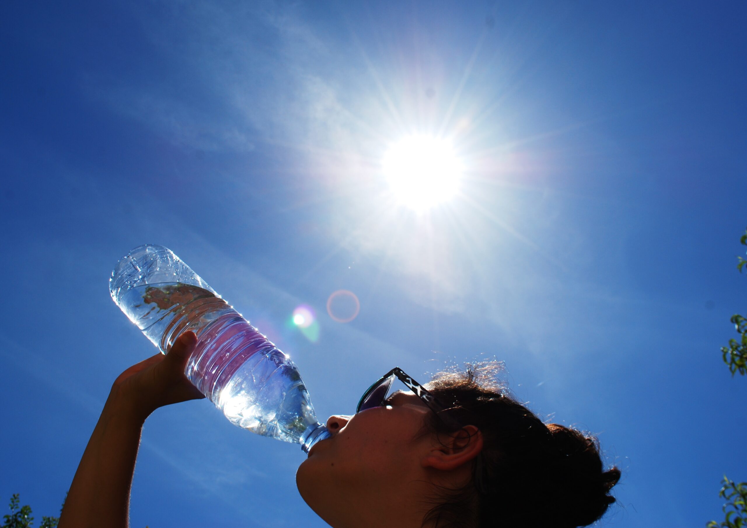 Les épisodes de canicule historiques en France