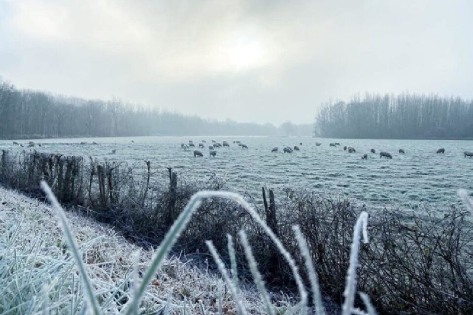 MÉTÉO CENTRE – VAL DE LOIRE DU WEEK-END DU 28 ET 29 DÉCEMBRE 2024