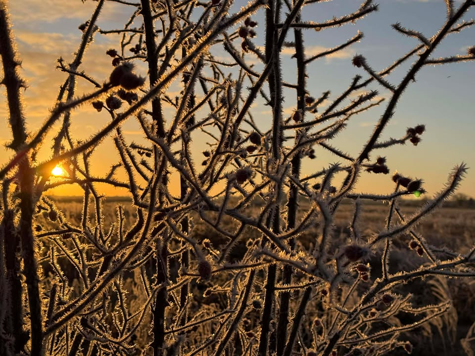 [BILAN DU 3 JANVIER] – GELEES, NEIGE ET VERGLAS SUR LE CENTRE – VAL DE LOIRE