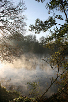 Stratus en formation au bord du Loiret